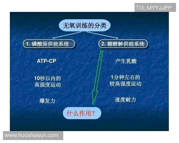 南京羽毛球队整体压制打法深度分析与战术解读