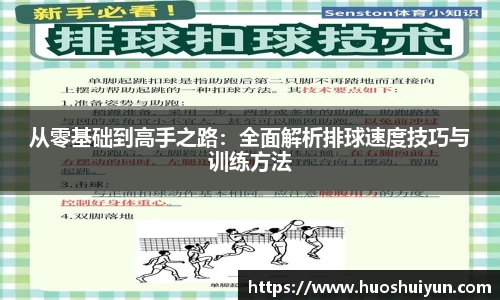 从零基础到高手之路：全面解析排球速度技巧与训练方法